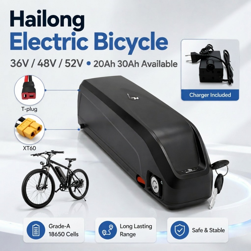Bateria de Ebike Multi-Tamanho - Ebike Battery 48V 20Ah Hailong avaliação e preço